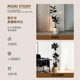 Office fake green plant decoration simulated black diamond