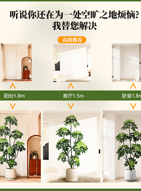 沙发旁落地摆件室内客厅阳台轻奢假树装饰落地大型仿真绿植鸭脚木