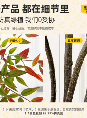 仿真绿植南天竹室内客厅玄关高级感仿生绿色植物落地盆栽氛围树