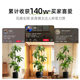 Fake green plants advanced simulation interior decoration