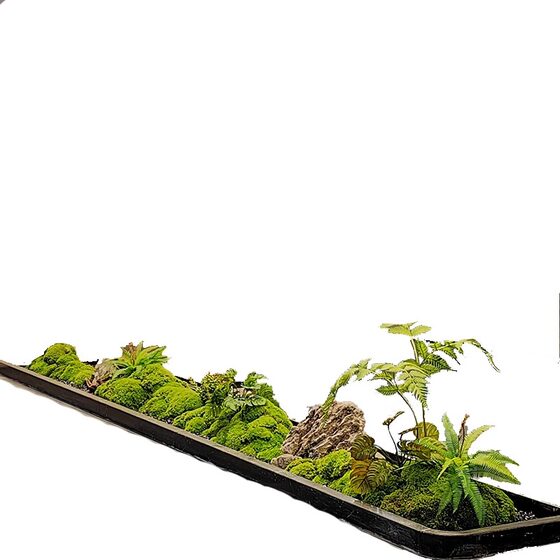Simulated green plants, high-end light luxury Internet celebrity, platform landscaping, soft decoration, hotel dry landscape entrance hall combination moss