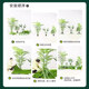 Simulated green plant landscaping combination balcony view layout room