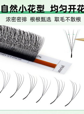 窄口叶草超软不散W型嫁接假睫毛