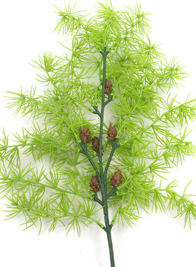 仿真植物天门冬绿植迷迭香叶蓬莱松假树叶园林造景厂家 迷迭香