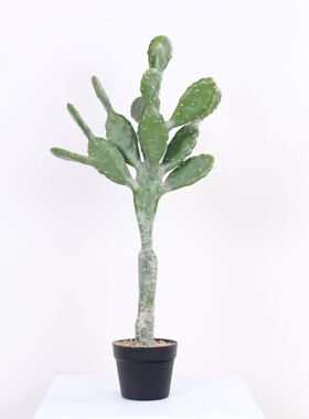 北欧仿真仙人掌莱昂仙人掌室内玄关阳台窗边落地装饰造景仿生植物