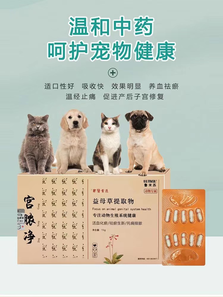宫脓净鲁米苏宠物犬猫子宫蓄脓子宫蓄积液犬猫产后排毒抗炎口服 - 图1