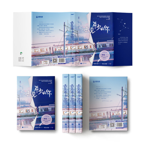 24版印特签 去见年少的你 全1册完 钟仅著重生之拯救大佬计划WE-42.8正版都市言情小说实体书Z1风炫现代青春校园治愈奇幻重生文学 - 图1