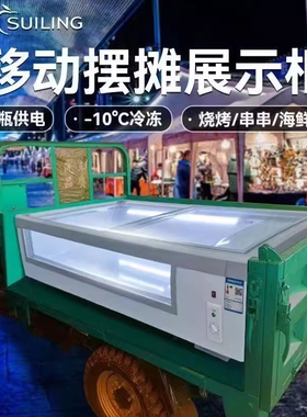 【厂家直销】移动户外摆摊保鲜柜