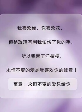 桔梗花小众纯银手链女款