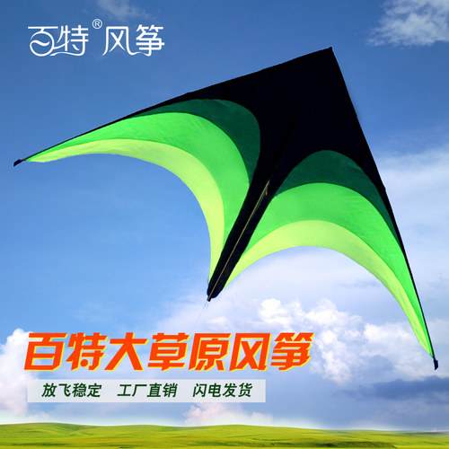 儿童风筝潍坊风筝2米/2.8米大草原网红风筝成人微风易飞风筝 - 图0