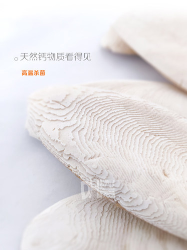 天然补钙 精磨墨鱼骨 陆龟水龟爬虫钙源 H-STUDIO - 图1