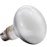 Бесплатная доставка рептилий ПЭТ -Земля Черепаха Ламп Университет Утепления Утопора