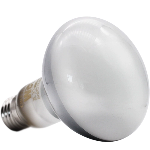 Бесплатная доставка рептилий ПЭТ -Земля Черепаха Ламп Университет Утепления Утопора