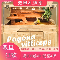 (Desert) intelligent reptile lizard lizard mane lion lizard python constant temperature climbing and rearing box ground heating spa drain