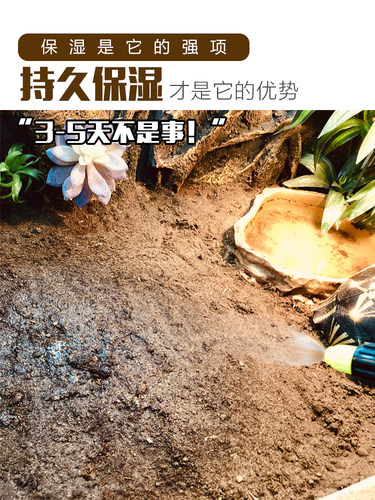 DH雨林地表保湿土壤垫材爬虫陆龟蜥蜴森林地表无菌天然吸味降解 - 图0