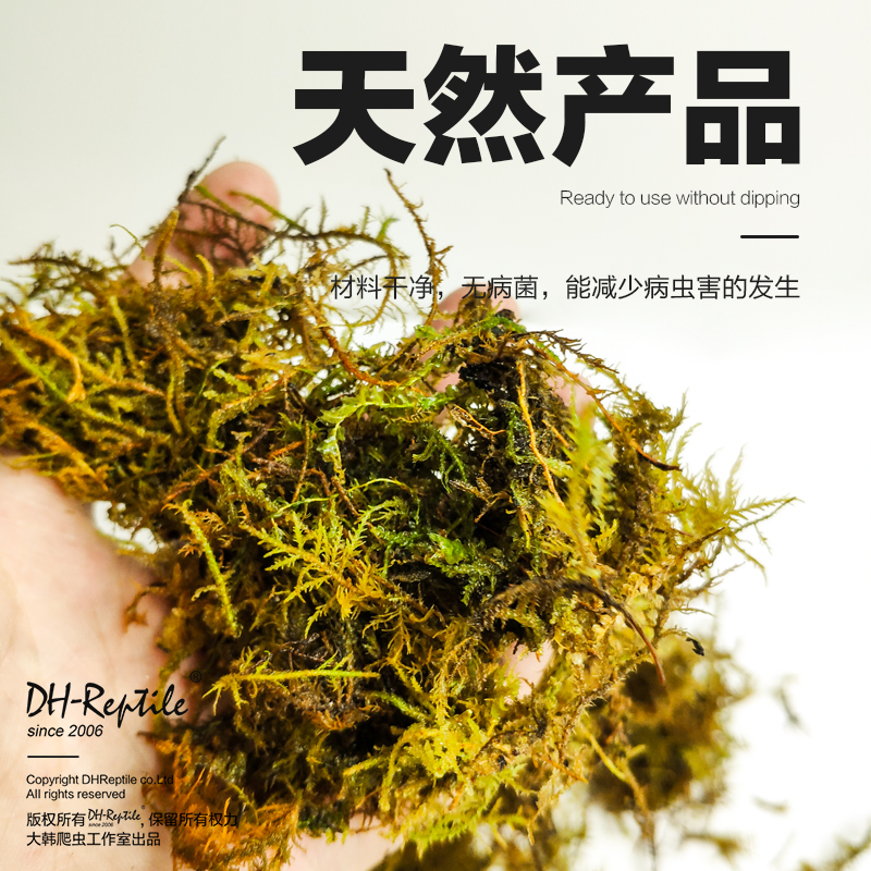 大韩爬宠垫材干水苔无菌鲜活干苔藓兰花石斛专用土角蛙龟垫材 - 图0