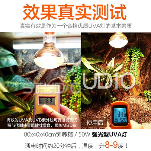 Бесплатная доставка рептилий ПЭТ -Земля Черепаха Ламп Университет Утепления Утопора