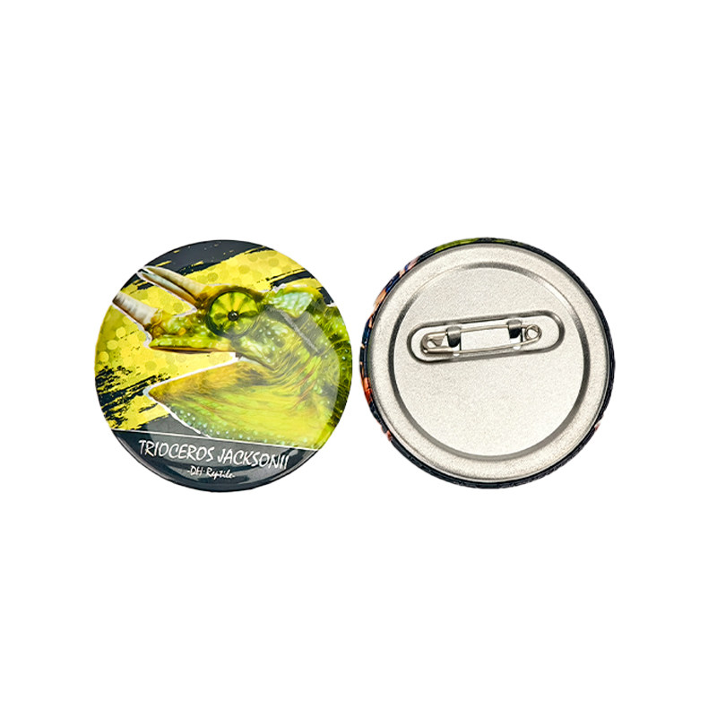 爬宠双闪吧唧特色爬行动物徽章胸针谷子蜥蜴陆龟蛇类鬃狮原创周边,淘宝优惠券,粉丝福利购,淘宝优惠卷