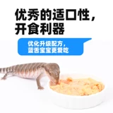 Высокий белок и кальциевый синий язык зерно -зерно синий язык саженцы с основной едой для еды с медовой сумкой черепаха ползание питом