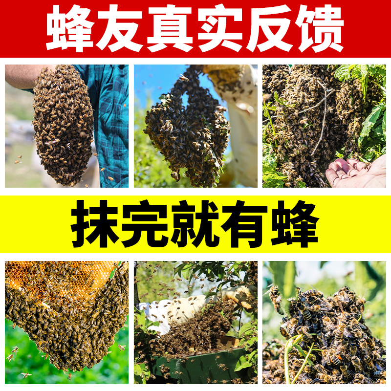 蜜蜂诱蜂膏招蜂水引蜂专用野外找蜂引诱蜂王膏蜜蜡分蜂信息素新款 - 图1