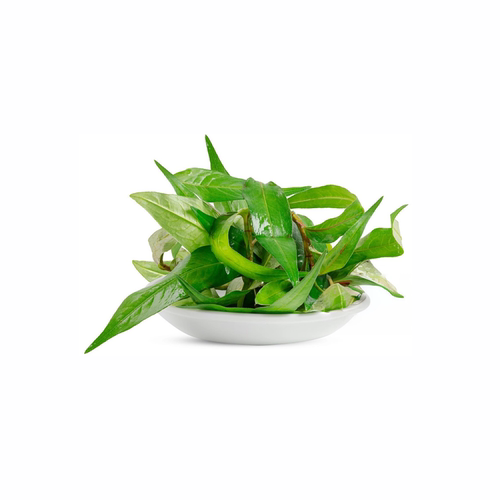 新鲜香柳叶鱼生草叻沙叶香蓼辣蓼草拉萨叶拉莎叶500g鱼生越南香菜 - 图1