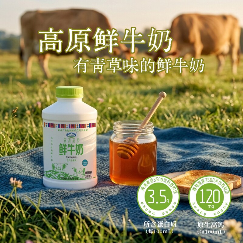 青海湖青海高原鲜牛奶500ml*4瓶巴氏杀菌鲜奶儿童营养低温早餐奶
