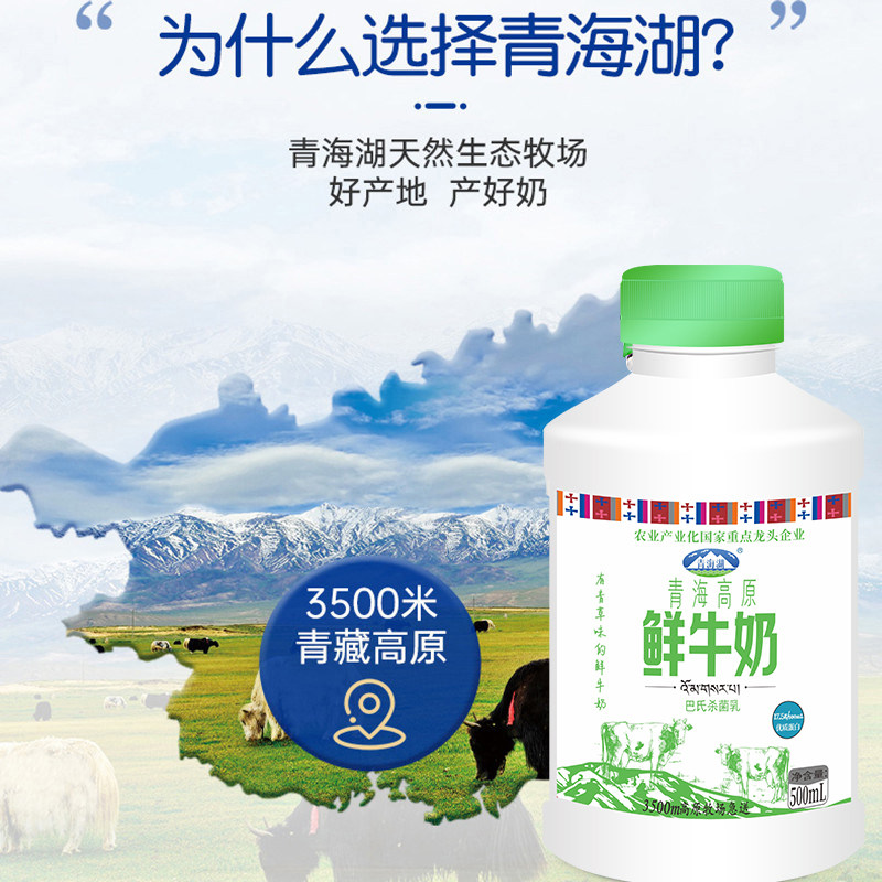 【香菇618】青海湖青海高原鲜牛奶500ml*4瓶巴氏杀菌低温鲜活牛奶