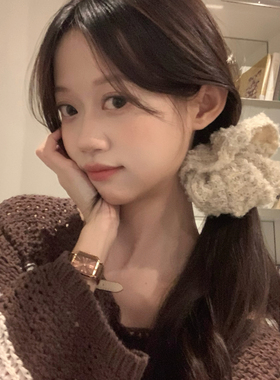 泰迪绒绒~秋冬温暖毛绒发圈软绵绵大肠圈发绳扎马尾头绳发饰新款