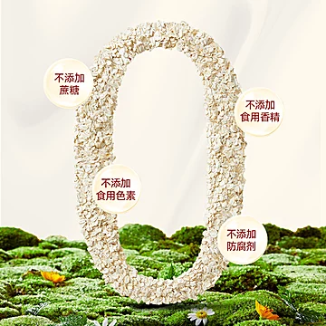 【阴山优麦】新年礼盒国燕佳礼1820g[20元优惠券]-寻折猪