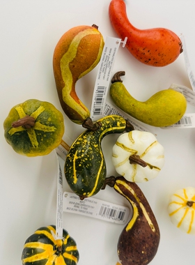 外贸仿真弯把歪南瓜模型万圣节装饰蔬菜橱柜酒店舞台园林道具摆件