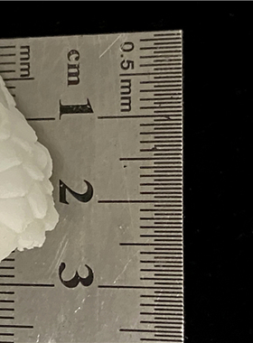 新款3D打印动物骨骼标本高精度模型光敏树脂摆件装饰礼物收藏定制