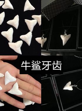 手工天然情侣原创牙齿礼物吊坠