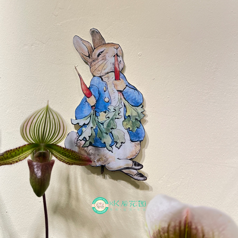 铁艺彼得兔子花插可爱卡通园艺杂货INS独家装饰铁艺摆件创意户外 - 图0