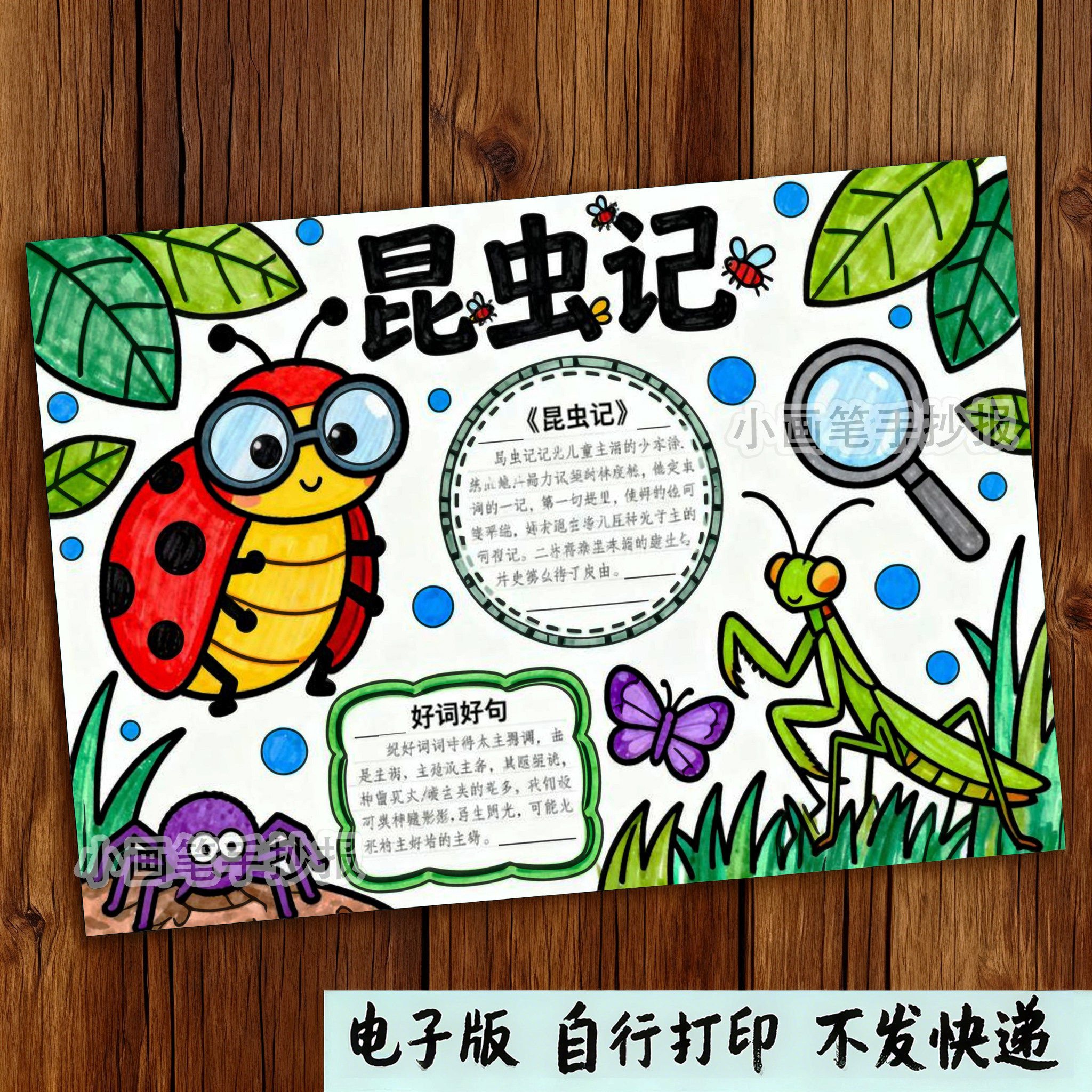 522-昆虫记主题画手抄报模板电子版好书推荐阅读名著儿童绘画线稿,淘宝优惠券,粉丝福利购,淘宝优惠卷
