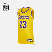 Nike Nike Official Boy Los Angeles Lakers NBA James Big Boy Speed Dry jersey FZ8625