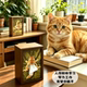 Ballet Creative Funny Cat Wooden Tissue Box