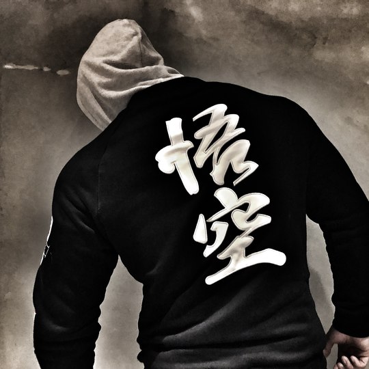 <Один предмет также находится на распродаже> Осенне-зимняя вышитая спортивная хлопковая толстовка Wukong для фитнеса, бейсбольная куртка, повседневная куртка