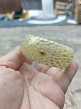 内径54特价时尚百搭手镯猫眼黄色花型工艺特色独款313