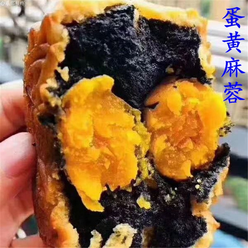 手工黑芝麻月饼双蛋黄莲蓉红绿黑豆沙中秋广式五仁叉烧冬翅哈密瓜-图1