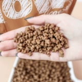 Qiuqiu Pet-now с анти-отсеиванием импортированного вугу натурального корма для собак маленькие гранулы маленькие собаки главное зерно четыре фунта