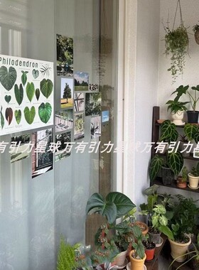 ins风植物图海报装饰海报