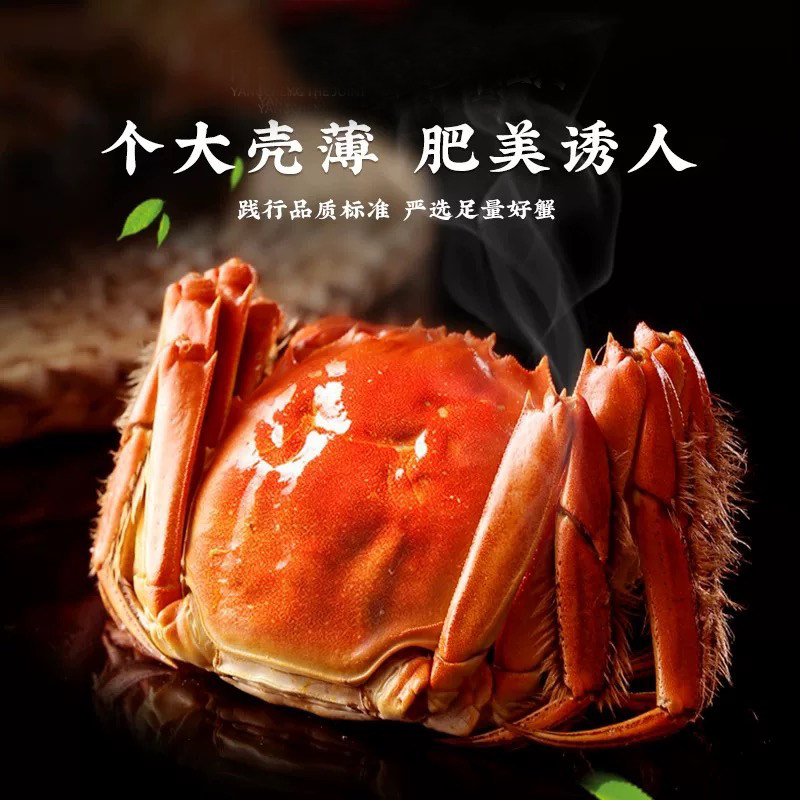 现货苏州官方阳澄精品大闸蟹鲜活特大螃蟹公5.0两母蟹4.0两礼盒装,淘宝优惠券,粉丝福利购,淘宝优惠卷