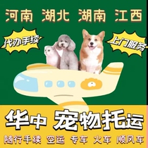 Pet consignments National Henan Hubei Hunan province Jiangxi Changsha Wuhan capital of central Chinas Henan Province Zhengzhou capital of central Chinas Henan Province