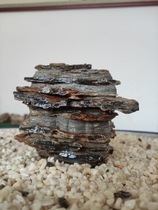 Taihang Chiishi Small Hollowed-out self-standing Long 13 Width 11 High 12 Fish tank Landscaped Office Swing tortoise Terra Terra