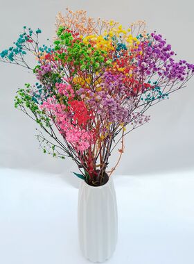 摆放挂件自然风干厂家包邮永生花