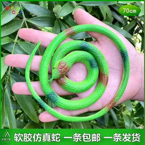 软胶仿真小白蛇儿童玩具眼镜蛇恶搞吓人塑胶假蛇静态爬行动物模型 - 图2