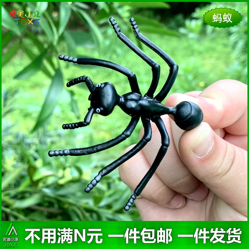 仿真蚂蚁蜘蛛大小号套装儿童过家家认知玩具礼物迷你昆虫动物模型 - 图0
