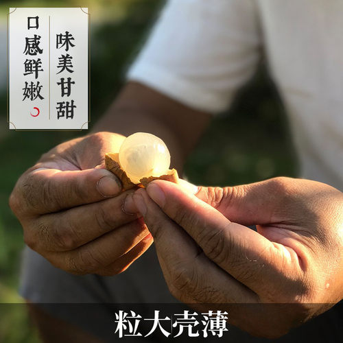 阿四出品 | 只卖老客~1斤9A大桂圆干 肉厚肉多 福建特产龙眼干 - 图1