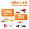 Tropical fish food freeze-dried red worms