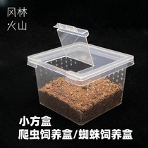 Feeding Box Reptile Reptile Spider Corner Frog Pet Plastic Rearing Box Small Square Box can turn on ventilation
